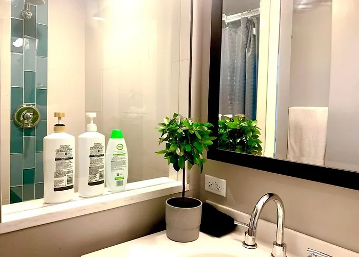 Bridgeport Place - Free Parking, Mccormick Place-sox Park Apartment *